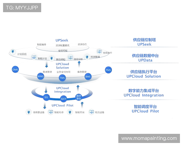 Digital技术支持下的AG国际网址登录线路优化方案详解
