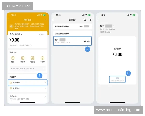 探索K8凯发网址娱乐平台的多样化支付方式与快速提现流程